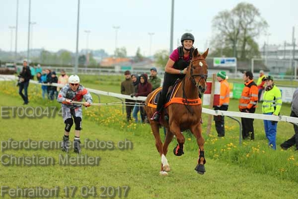 ET0Q0474 prot